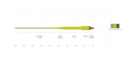 Scientific Anglers Amplitude Smooth Titan Long